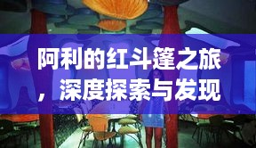 阿利的红斗篷之旅，深度探索与发现的奇妙旅程