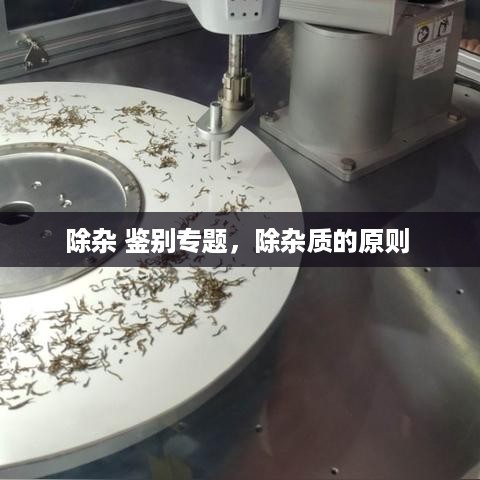 除杂 鉴别专题，除杂质的原则 