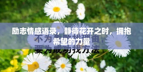 励志情感语录，静待花开之时，拥抱希望的力量