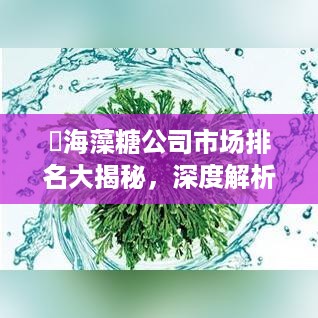 ​海藻糖公司市场排名大揭秘，深度解析市场影响力与竞争力分析