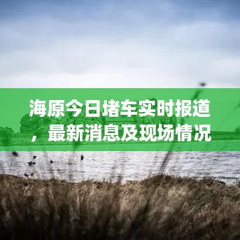 海原今日堵车实时报道，最新消息及现场情况速递