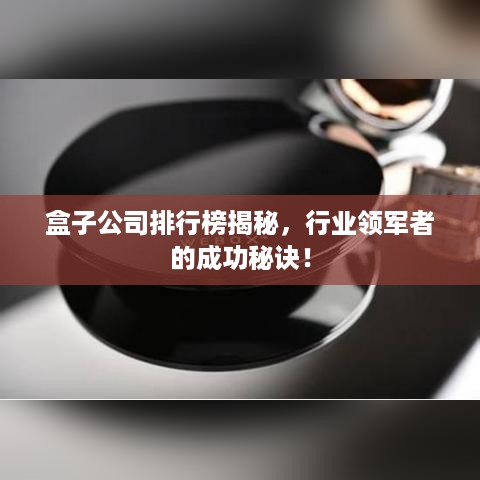 盒子公司排行榜揭秘，行业领军者的成功秘诀！