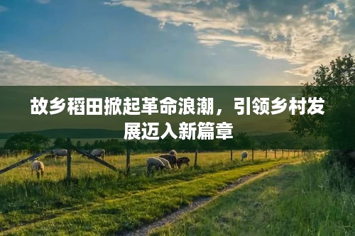 故乡稻田掀起革命浪潮，引领乡村发展迈入新篇章