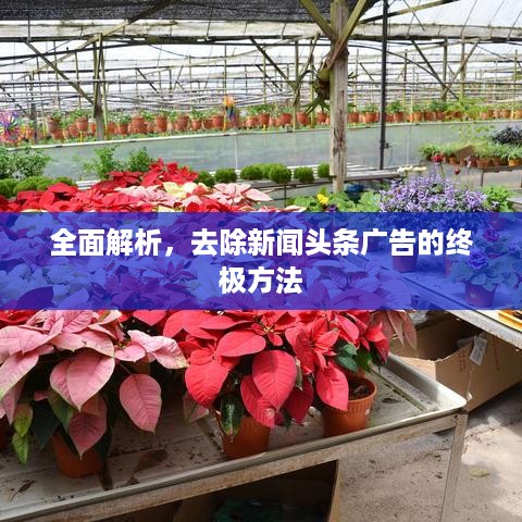 全面解析，去除新闻头条广告的终极方法